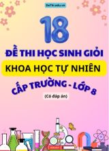 Tuyển tập 18 Đề thi HSG cấp Trường môn KHTN 8 (Đầy đủ phân môn và Đáp án)